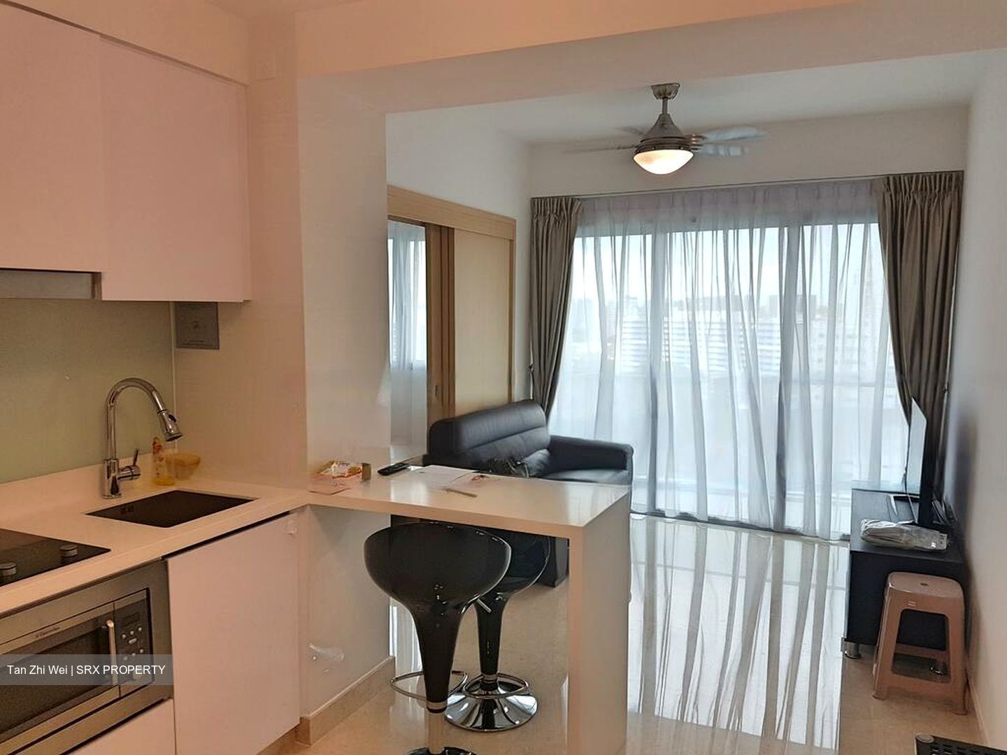 Eight Riversuites (D12), Condominium #460180191